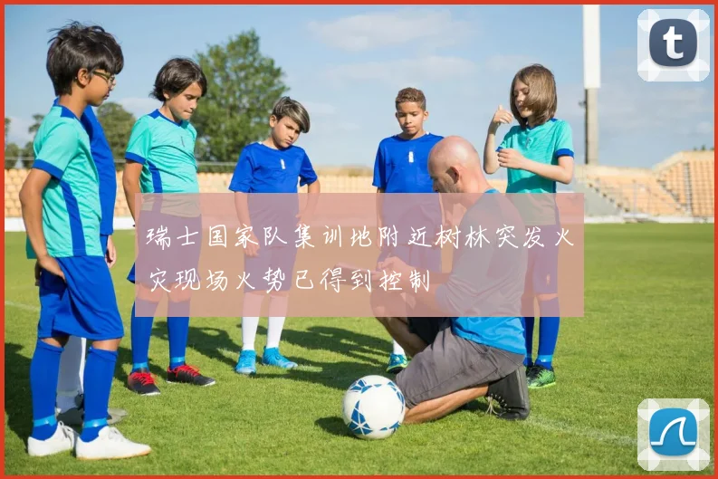 瑞士国家队集训地附近树林突发火灾现场火势已得到控制